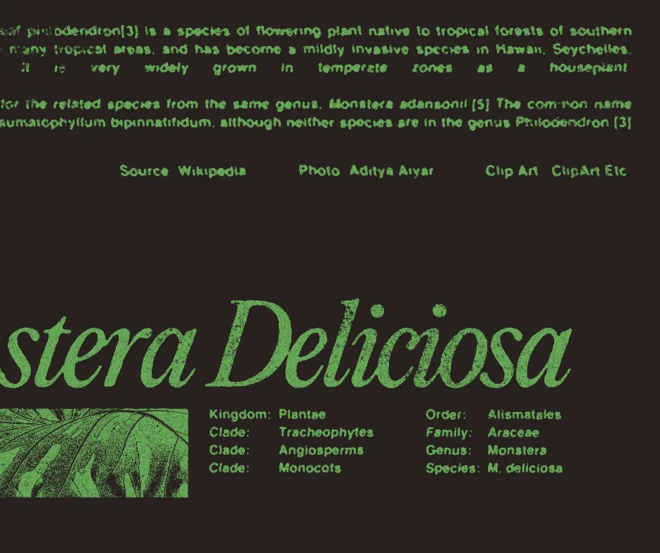 Monstera Deliciosa | Plant Lover Hoodie