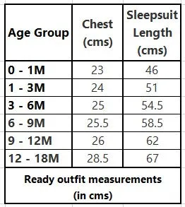 White Embroidered Wings Detailing Sleepsuits Set